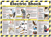 Electric Shock Treatment Guide 59 x 42cm Laminated Safety Poster