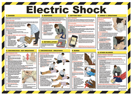 Electric Shock Treatment Guide 59 x 42cm Laminated Safety Poster