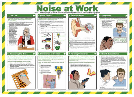 Noise at Work 59 x 42cm Laminated Safety Poster